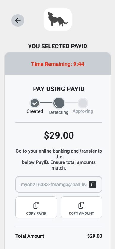 PayID-Example.png